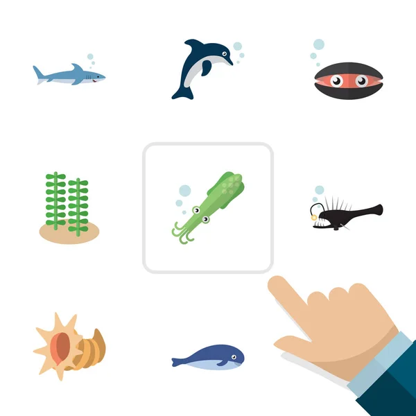 Flache Symbol marine Set von Cachalot, Fisch, Jakobsmuscheln und anderen Vektorobjekten. umfasst auch Algen, Wale, Cachalot-Elemente. — Stockvektor