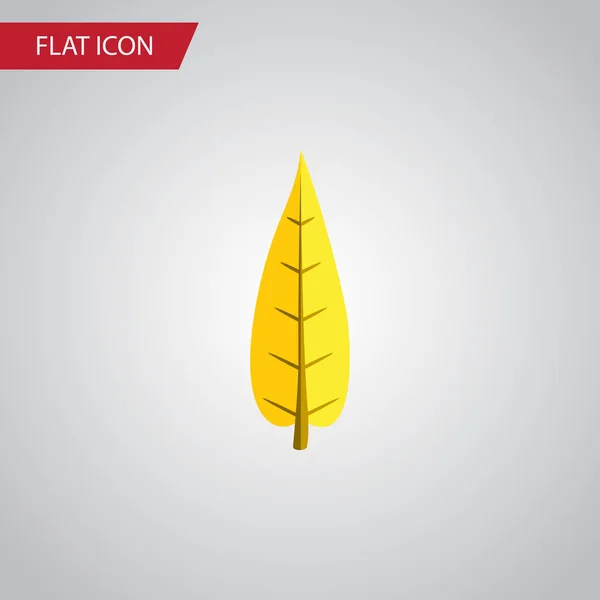 Изолированная Дубовая плоская икона. Кленовый векторный элемент может быть использован для Oaken, Maple, Leaf Design Concept . — стоковый вектор