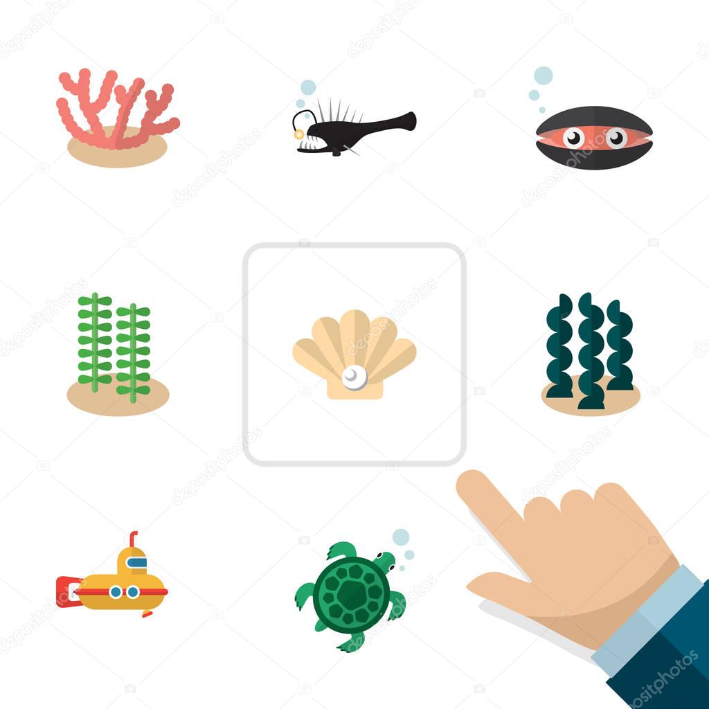 Flat Icon Sea Set Of Seaweed, Alga, Tortoise And Other Vector Objects. Also Includes Alga, Melanocetus, Fish Elements.