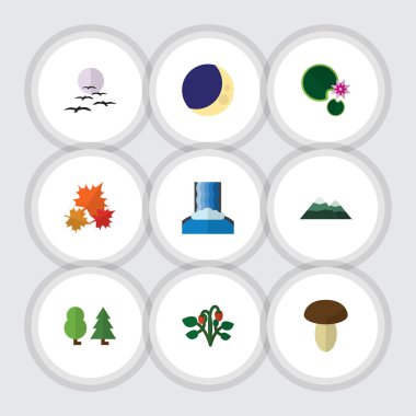 Yarım ay, martı, Berry ve diğer vektör nesnelerini düz simgesi doğal kümesi. Ayrıca kuş, Berry, Lotus unsurları içerir.