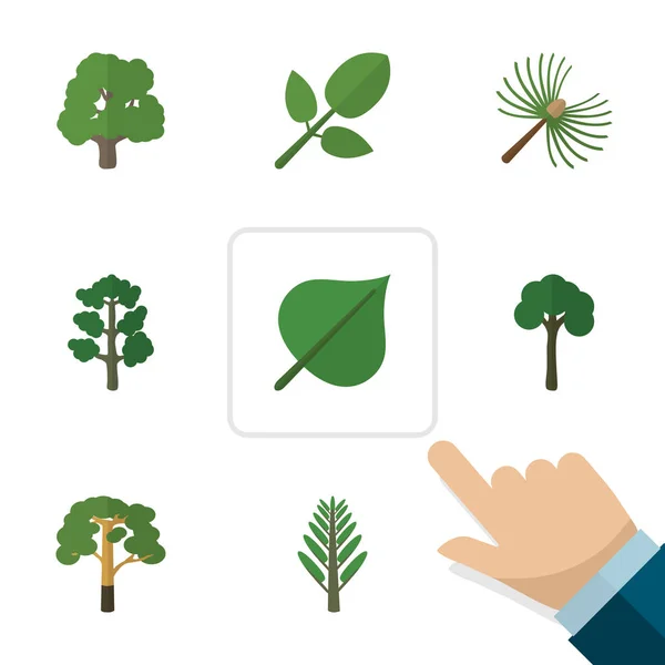 Platte pictogram aard zette van hout, gebladerte, decoratie boom en andere vectorobjecten. Ook kernelementen boom, bladeren, groenblijvend. — Stockvector