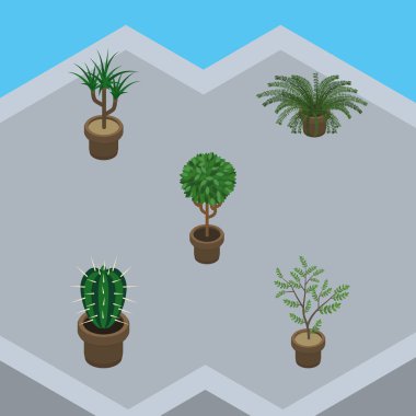 İzometrik bitki ağaç, Fern, bitki ve diğer vektör nesneleri kümesi. Ayrıca botanik, kaktüs, Houseplant öğeleri içerir.