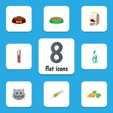 Tavşan yemek, sıcaklık ölçümü, Kitty ve diğer vektör nesnelerini düz simgesi hayvan kümesi. Aynı zamanda su, sebze, havuç öğeleri içerir.