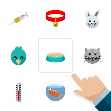 Düz simge kümesi evcil hayvan besleme sıcaklık ölçümü, tavşan ve diğer vektör nesneleri. Kitty, ayrıca içerir su, kanat öğeleri.