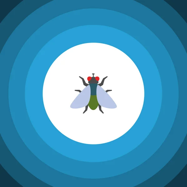 Icône plate Buzz isolée. Élément vectoriel de mouche peut être employé pour voler, insecte, concept de conception de Buzz . — Image vectorielle