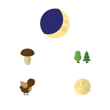 Ay düz simgesi doğa seti, yarım ay, kuş ve diğer vektör nesnelerine. Ayrıca içerir ay, mantar, orman öğeleri.