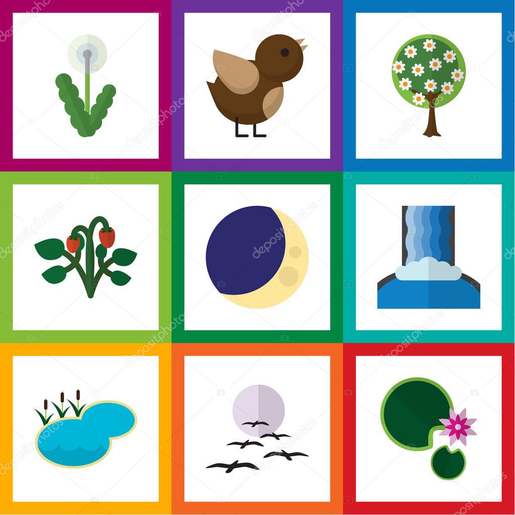Flat Icon Bio Set Of Pond, Bird, Berry And Other Vector Objects. Also Includes Sparrow, Lotus, Waterfall Elements.