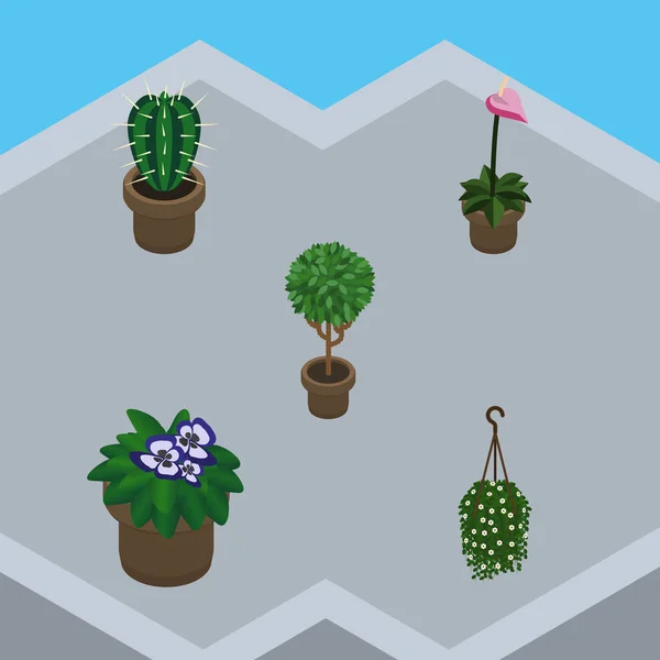 Conjunto de flores isométricas de cultivador, maceta, flor y otros objetos vectoriales. También incluye Blossom, Cactus, elementos Peyote . — Archivo Imágenes Vectoriales