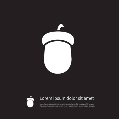 İzole Hazel simgesi. Nutwood vektör öğesi fındık, Nutwood, Hazel tasarım konsepti için kullanılabilir.