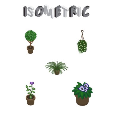 İzometrik Houseplant saksı, bitki, ağaç ve diğer vektör nesneleri kümesi. Ayrıca çiçek, saksı, bitki elemanları içerir.