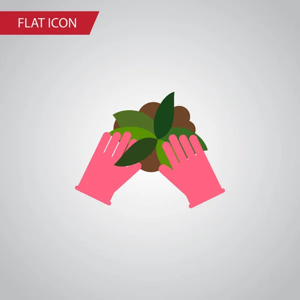 Geïsoleerde Sow platte pictogram. Plant vectorelement kan gebruikt worden voor zaaien, planten, handschoen Design Concept. — Stockvector