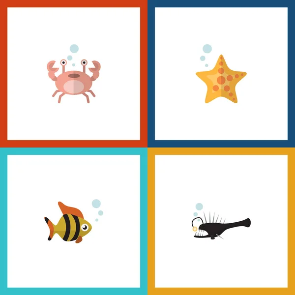 Icono plano Marino conjunto de peces, mariscos, cáncer y otros objetos vectoriales. También incluye Estrella, Langosta, Elementos Cangrejo . — Vector de stock
