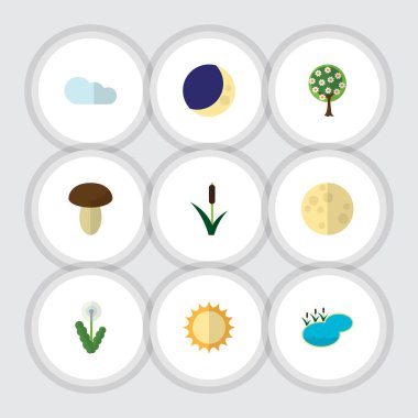 Düz simgesi ekoloji kümesi gölet, ağaç, çiçek ve diğer vektör nesneleri. Ayrıca ağaç, hilal, çiçek öğeleri içerir.