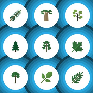 Düz simgesi ekoloji kümesi Bahçe, Park, çam yaprakları ve diğer vektör nesneleri. Ayrıca ağaç, Park, Hickory öğeleri içerir.