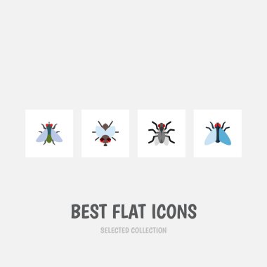 Sineği, sinek, Buzz ve diğer vektör nesnelerini düz simgesi sinek kümesi. Buzz, küçük, tatarcık öğeleri de içerir.