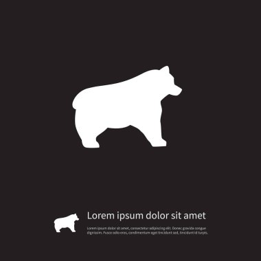 İzole ayı simge. Kutup vektör öğesi kullanılan ayı, Panda, hayvan tasarım konsepti için.