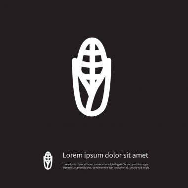 İzole tahıl simgesi. Patlamış mısır vektör öğesi kullanılan buğday, Mısır, Mısır tasarım konsepti için.