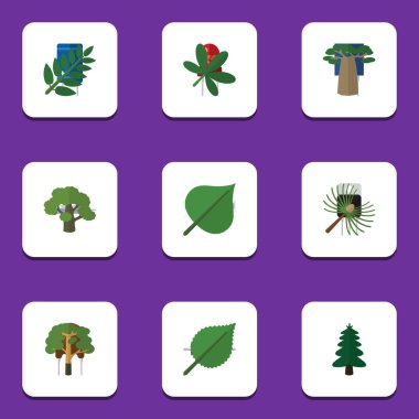 Düz simgesi ekoloji akçaağaç, ağaç, Park ve diğer vektör nesnelerini ayarlayın. Ayrıca yaprak, Park, meşe unsurları içerir.