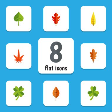 Düz simgesi yaprakları kümesi Linden, yaprak, Hickory ve diğer vektör nesneleri. Ayrıca Aspen, yeşillik, yaprak öğeleri içerir.