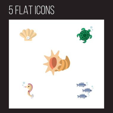 Kabuklu, kaplumbağa, deniz kıyısı ve diğer vektör nesnelerini düz simgesi deniz kümesi. Ayrıca kaplumbağa, deniz, Hipokampus öğeleri içerir.