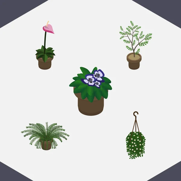 Conjunto de flores isométricas de maceta, cultivador, flor y otros objetos vectoriales. También incluye Colgante, Flor, Elementos Florales . — Archivo Imágenes Vectoriales