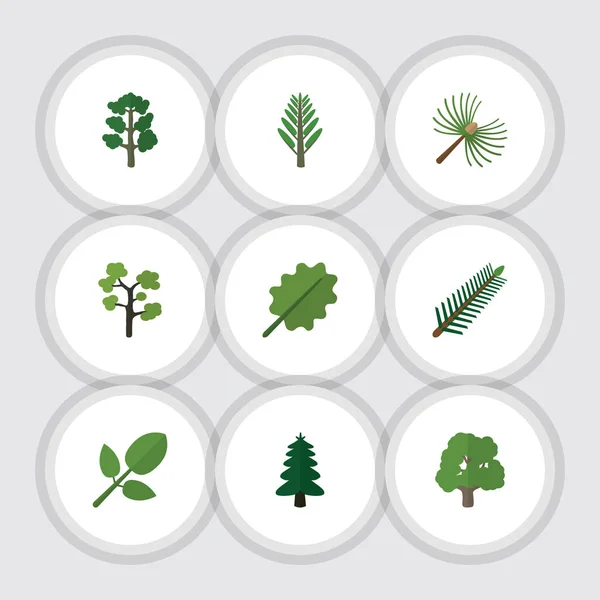Flat Icon Nature Set Of Forest, Jungle, Alder And Other Vector Objects. Also Includes Evergreen, Tree, Leaf Elements. — Stock Vector