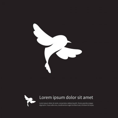 İzole serçe simgesi. Kümes hayvanı vektör öğesi kullanılan Fowl, Serçe, kuş tasarım konsepti için.