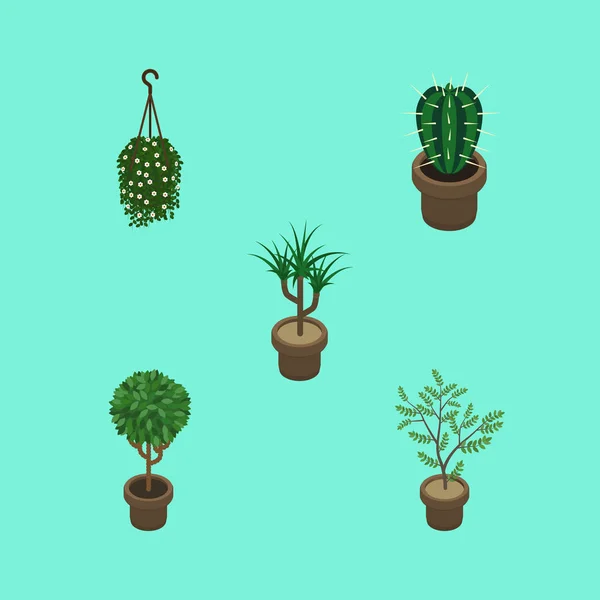 Ensemble de plantes isométriques de Peyote, fougère, plante d'intérieur et autres objets vectoriels. Comprend également fleur, fleur, éléments de pot de fleurs . — Image vectorielle