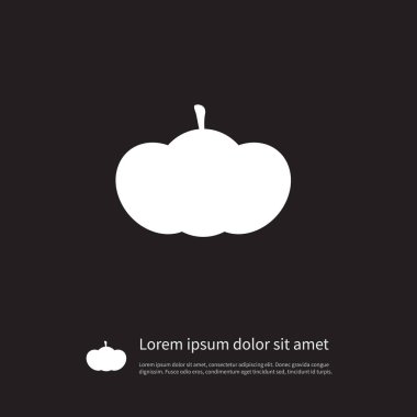 İzole Squash simgesi. Hasat vektör öğesi kullanılan hasat, kabak, kabak tasarım konsepti için.