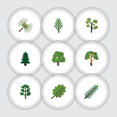 Düz simgesi doğa Park, orman, kızılağaç ve diğer vektör nesneleri ayarlayın. Ayrıca orman, biberiye, yaprak öğeleri içerir.