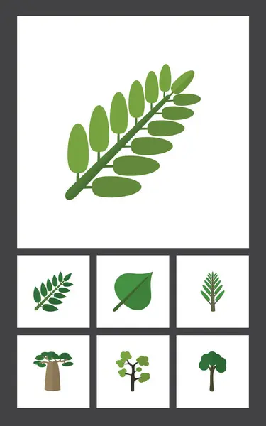 Плоская икона Природный набор листьев, Баобаб, джунгли и другие векторные объекты. Также включает парк, листья, элементы ивы . — стоковый вектор