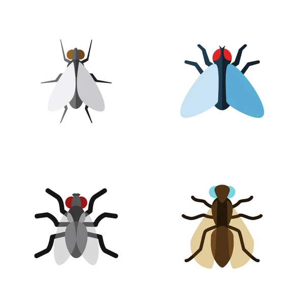 Housefly płaskie Icon Set komara, Mucha domowa, komar i innych obiektów wektorowych. Zawiera również elementy Fly, Hum, Mosquito. — Wektor stockowy