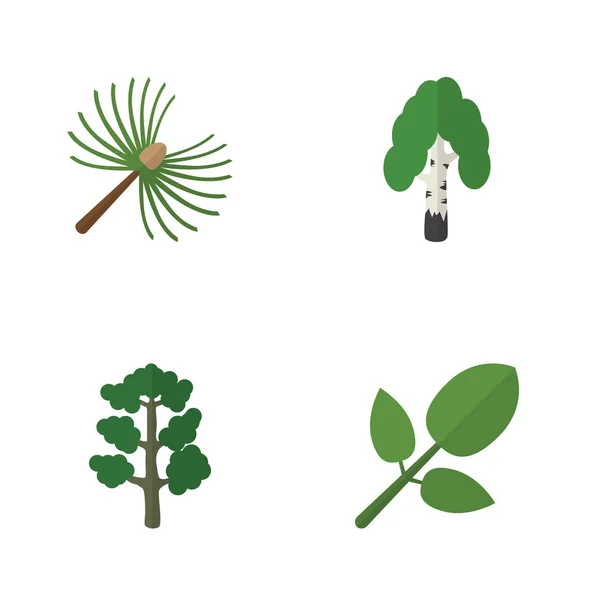 Płaskie ikona Bio zestaw z drewna, Las, liści i innych obiektów wektorowych. Zawiera także brzoza, Las, liść elementów. — Wektor stockowy