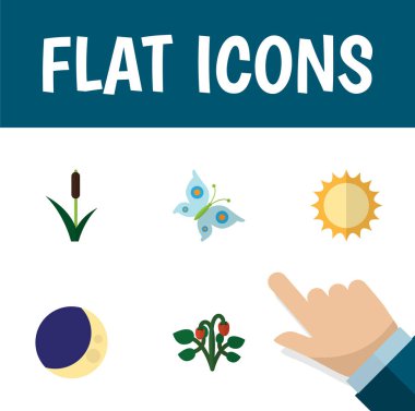 Düz simgesi Bio kuyrugu, güneş, yarım ay ve diğer vektör nesneleri ayarlayın. Ayrıca güneş, içerir kuyrugu, çim öğeleri.