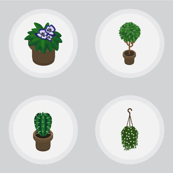 Isometric Houseplant Set of Peyote, Flowerpot, Tree And Other Vector Objects (dalam bahasa Inggris). Termasuk Gantung, Cactus, Unsur Tanaman . - Stok Vektor