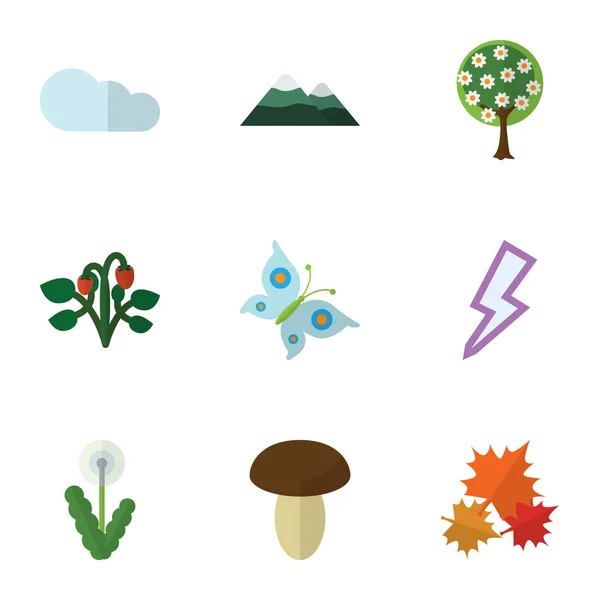 Flat Icon Natural Set of Lightning, Peak, Floral and Other Vector Objects. Включая также Tree, Champignon, Mushroom Elements . — стоковый вектор