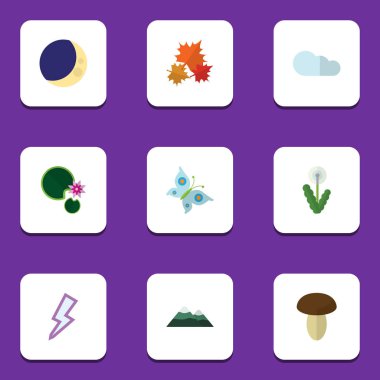 Düz simgesi doğal yarım ay, çiçek, Kanada ve diğer vektör nesneleri kümesi. Şimşek, Champignon, fırtına öğeleri de içerir.