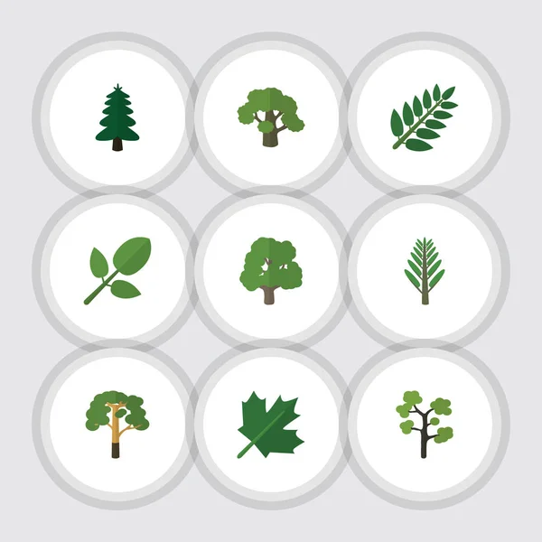 Platte pictogram Bio Set Tuin, Jungle, loof en andere vectorobjecten. Ook omvat Park, gebladerte, eiken elementen. — Stockvector