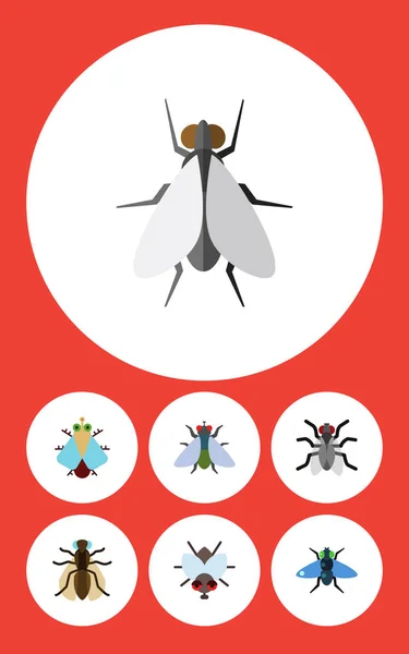 https://st3.depositphotos.com/8882524/16645/v/450/depositphotos_166457630-stock-illustration-flat-icon-housefly-set-of.jpg