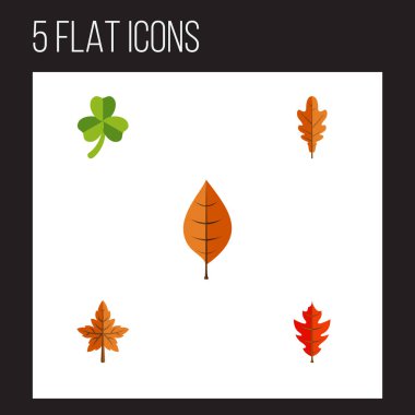 Düz simgesi yeşillik yaprak, yeşillik, ıhlamur ve diğer vektör nesnelerini ayarlayın. Ayrıca pus, yaprak, Aspen öğeleri içerir.