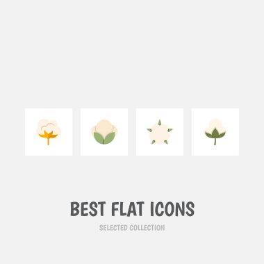 Düz simgesi lif pamuk, çiçek, Fiber ve diğer vektör nesnelerini ayarlayın. Bud, kabarık, çiçek öğeleri de içerir.