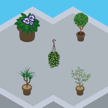 İzometrik çiçek ağaç, Fern, çiçeği ve diğer vektör nesneleri kümesi. Ayrıca bitki, çiçek, Houseplant öğeleri içerir.