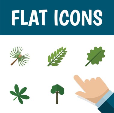 Düz simgesi ekoloji kümesi yaprağı, biberiye, kızılağaç ve diğer vektör nesneleri. Ayrıca içerir ağaç, yaprak dökmeyen, Ladin öğeleri.