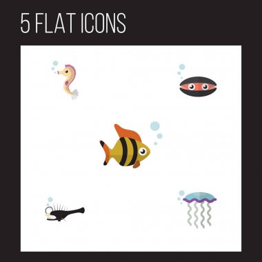 Düz simgesi deniz Hipokampus, deniz ürünleri, tarak ve diğer vektör nesneleri kümesi. Tarak, sualtı, Balık öğeleri de içerir.