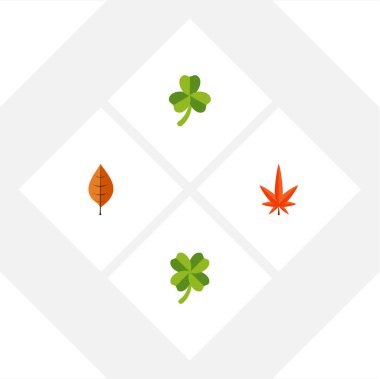 Düz simgesi yaprakları dizi yaprak, yeşillik, pus ve diğer vektör nesneleri. Ayrıca kızılağaç, Aspen, yeşillik öğeleri içerir.