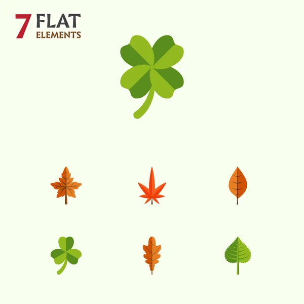 Flat Icon Leaves Set Of Leafage, Foliage, Aspen And Other Vector Objects. Also Includes Alder, Linden, Aspen Elements. — Stock Vector