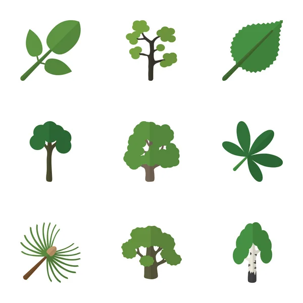 Platte natuurlijke pictogrammenset van decoratie boom, Linden, rozemarijn en andere vectorobjecten. Bevat ook elementen van Linden, blad, bladeren. — Stockvector