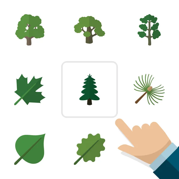 Platte ecologie pictogrammenset van rozemarijn, bos, eiken en andere vectorobjecten. Omvat ook eik, boom, houten elementen. — Stockvector