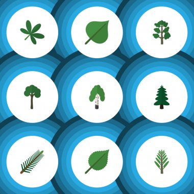 Düz simgesi ekoloji kümesi ıhlamur, akçaağaç, Evergreen ve diğer vektör nesneleri. Ayrıca ahşap, Linden, Ladin elemanları içerir.