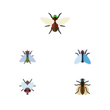 Düz simgesi Mooche kümesi Sivrisinek, Buzz, sinek ve diğer vektör nesneleri. Ayrıca içerir Sivrisinek, sinek, hafif elementleri, kumaşın.